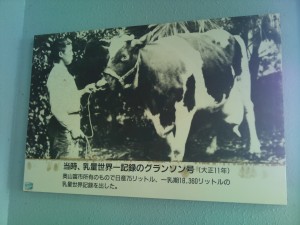 世界一の牛 世界一の牛